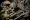 This photograph shows human skulls and bones aligned against a wall of Paris' Catacombs.