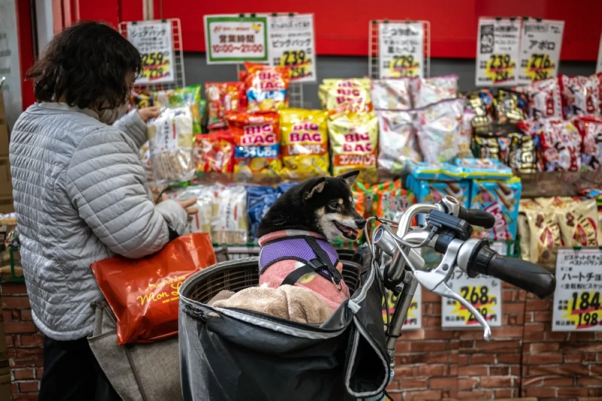TOKYO: A dog looks on as a customer browses through snacks on sale at a shopping street in Kichijoji district of Tokyo on January 19, 2024. -- AFP