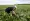 Agronomist Adriano Cruvinel inspects the soybean plantation at one of the plots of the Bom Jardim Lagoano farm in the municipality of Montividiu, Goias State, Brazil.-- AFP