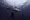 A group of divers swim with a sandbar shark off Jupiter, Florida.--AFP photos