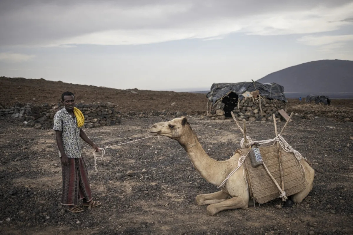 AFAR: A man holds a camel with a rope on the top of Erta Ale volcano, in the Danakil Depression of the Afar region. In the heart of the Horn of Africa, the Danakil Depression is one of the hottest, most inhospitable place on earth, with temperatures topping 50 degrees Celsius. – AFP
