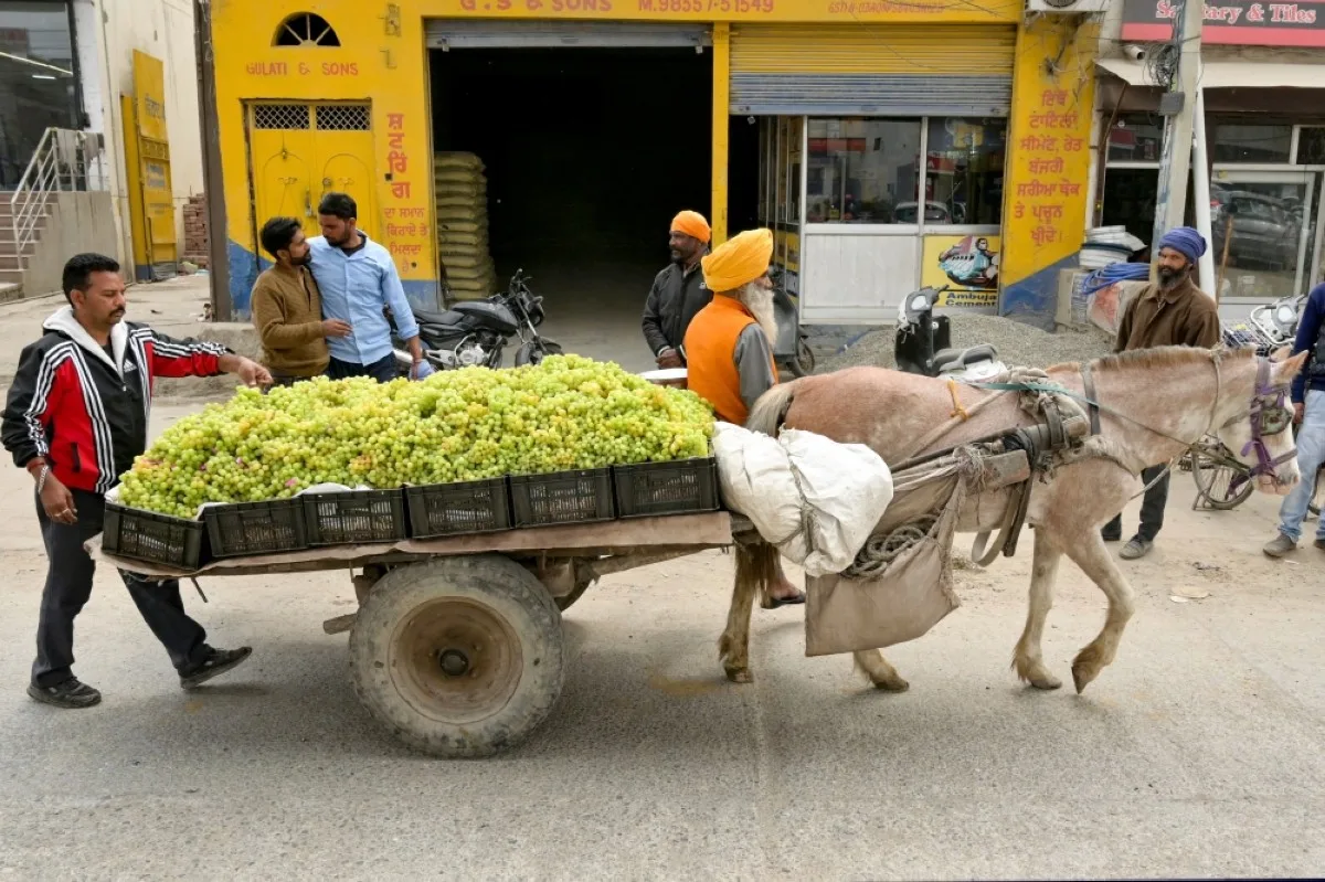 AMRITSAR: A fruit vendor (left) sells grapes on a horse-drawn cart along a street in Amritsar. – AFP
