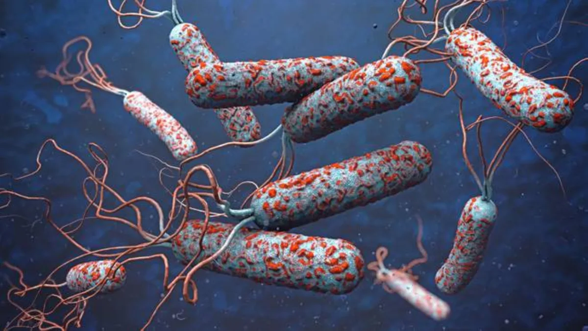 Le choléra est une infection diarrhéique aiguë causée par l’absorption d’eau ou de produits alimentaires contaminés par la bactérie vibrio cholerae.