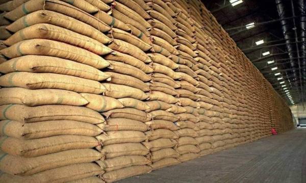 Souveraineté alimentaire : le Maroc mobilisera 1 million d’hectares pour les céréales