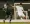 Match amical : le Raja s’offre une belle victoire face à Al Ahli d’Arabie saoudite