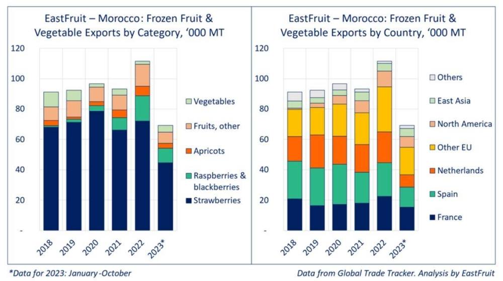 Fruits et légumes surgelés : Les exportations marocaines à leur plus bas niveau depuis six ans