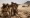 African Lion au Sahara marocain. Qui veut bombarder?