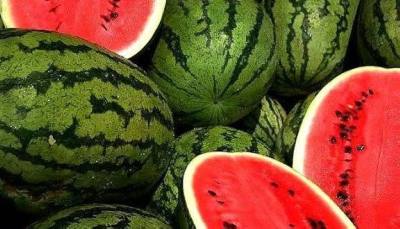 Moroccan watermelon complies with health safety standards. 