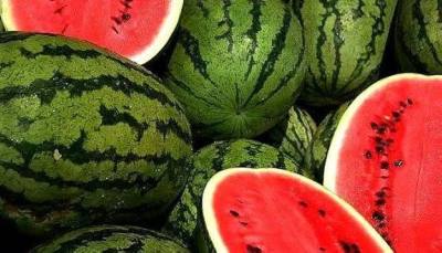 Moroccan watermelon complies with health safety standards.