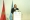 Ph. Archives. Le Roi Mohammed VI prononçant un discours lors de la COP22 tenue à Marrakech en 2016
