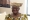 Ngozi Okonjo-Iweala, directrice générale de l’Organisation mondiale du commerce (OMC). 