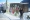 أحد المشاركين يستمتع بمنظر الثلوج خارج مركز المؤتمرات في اليوم الختامي لدافوس                                                                         (إ ب أ)