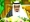 الملك سلمان مترئسا جلسة مجلس الوزراء اليوم بقصر السلام في جدة (واس)