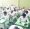 






اختبارات سابقة في مدارس التوأمة بجازان                                                                         (مكة)