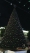 






شجرة عيد الميلاد دون إضاءة في بيت لحم                                             (تويتر)