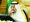 الملك سلمان مترئسا جلسة مجلس الوزراء في الرياض (واس)
