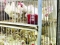 






بيع دجاج غير مذبوح في السوق العشوائي                            (مكة)