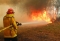 



رجل إطفاء يخمد النار في أستراليا      (د ب أ)