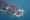 محميات طبيعية لقرش الحوت في البحر الأحمر (مكة)