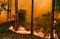 



حرائق الغابات في نيو ساوث ويلز               (د ب أ)