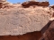 



نقوش ورسوم صخرية في حائل من العصر الحجري                             (مكة)