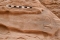 



الرسوم الصخرية                                                  (مكة)