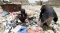 






أطفال يمنيون يبحثون عن طعامهم في القمامة                                                                          (مكة)