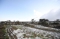 






الثلوج تغطي المدرجات الزراعية                 (مكة)