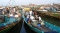 






قطاع الصيد اليمني يتعرض لانتهاكات عدة                                          (مكة)