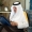 الأمير خالد الفيصل يستقبل مدير عام معهد الإدارة لتعزيز التعاون المشترك بين الإمارة والمعهد (مكة)