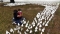 سيدة أمريكية وحفيدتها تضعان الأعلام البيضاء تكريما لضحايا فيروس كورونا خلال مشروع فني عام بعنوان «في أمريكا كيف يمكن أن يحدث هذا» (د ب أ)
