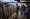 وسط حراسات الشرطة المسلحة يستقل الركاب مترو الأنفاق في محطة بلندن خلال ساعة الذروة الصباحية، مع استمرار الإغلاق الثالث في بريطانيا للحد من انتشار كورونا.
