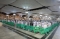 






مصلون في ساحات المسجد النبوي                                     (مكة)