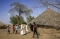 






منطقة الفشقة الحدودية بين السودان وإثيوبيا                                                                                           (مكة)