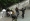 

الشرطة الإيرانية تعتدي على مدنيين عزل               (مكة)