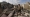 


طفل غزاوي يقف على آثار بيتهم المدمر                                               (مكة) 