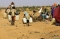 


سودانيون يسعون لتوفير مياه الشرب                                              (مكة) 