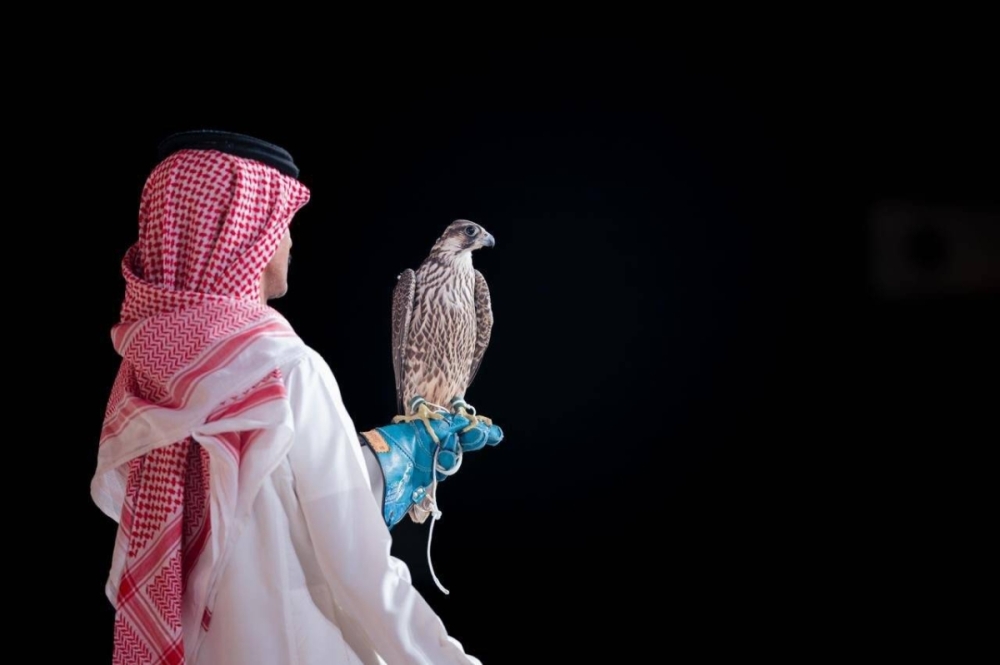 بيع صقرين بـ (578) ألف ريال في الليلة الـ 13 لمزاد نادي الصقور السعودي 2025 بيع صقرين بـ (578) ألف ريال في الليلة الـ 13 لمزاد نادي الصقور السعودي 2025