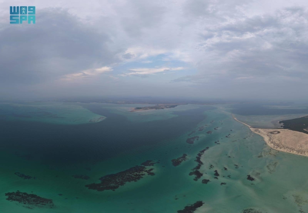 جزر البرك.. وجهة عسير البحرية تزهو بتنوعها الأحيائي وسحرها الطبيعي جزر البرك.. وجهة عسير البحرية تزهو بتنوعها الأحيائي وسحرها الطبيعي