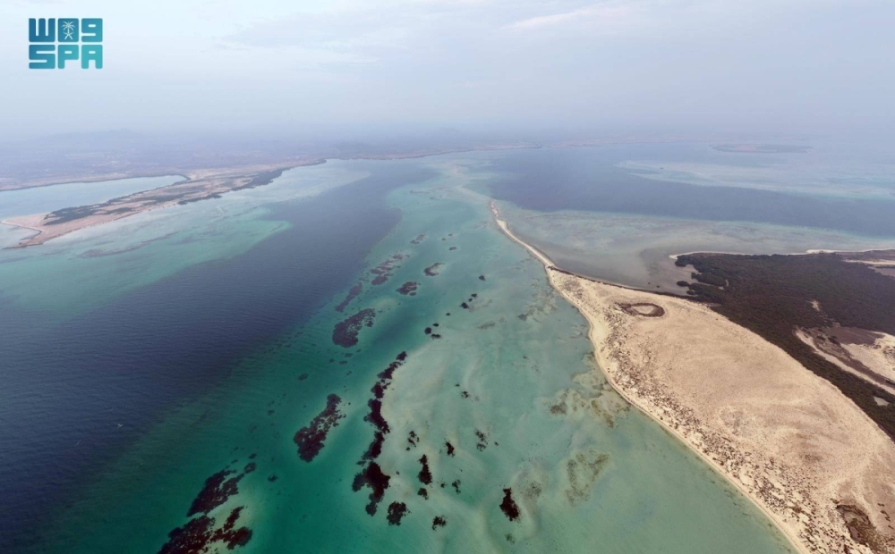 جزر البرك.. وجهة عسير البحرية تزهو بتنوعها الأحيائي وسحرها الطبيعي جزر البرك.. وجهة عسير البحرية تزهو بتنوعها الأحيائي وسحرها الطبيعي