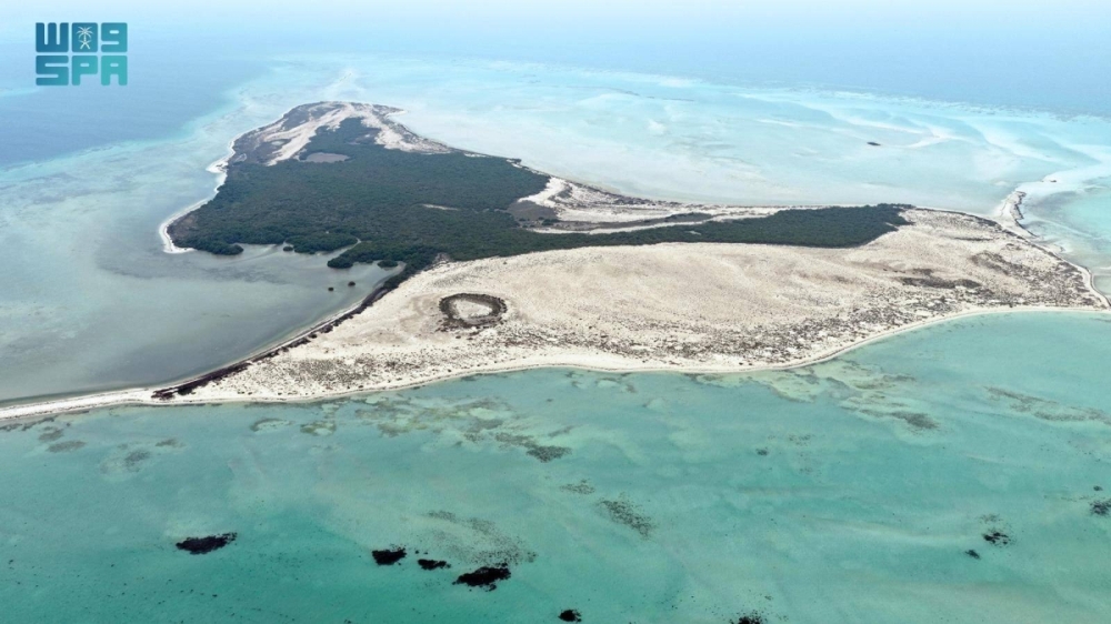 جزر البرك.. وجهة عسير البحرية تزهو بتنوعها الأحيائي وسحرها الطبيعي جزر البرك.. وجهة عسير البحرية تزهو بتنوعها الأحيائي وسحرها الطبيعي
