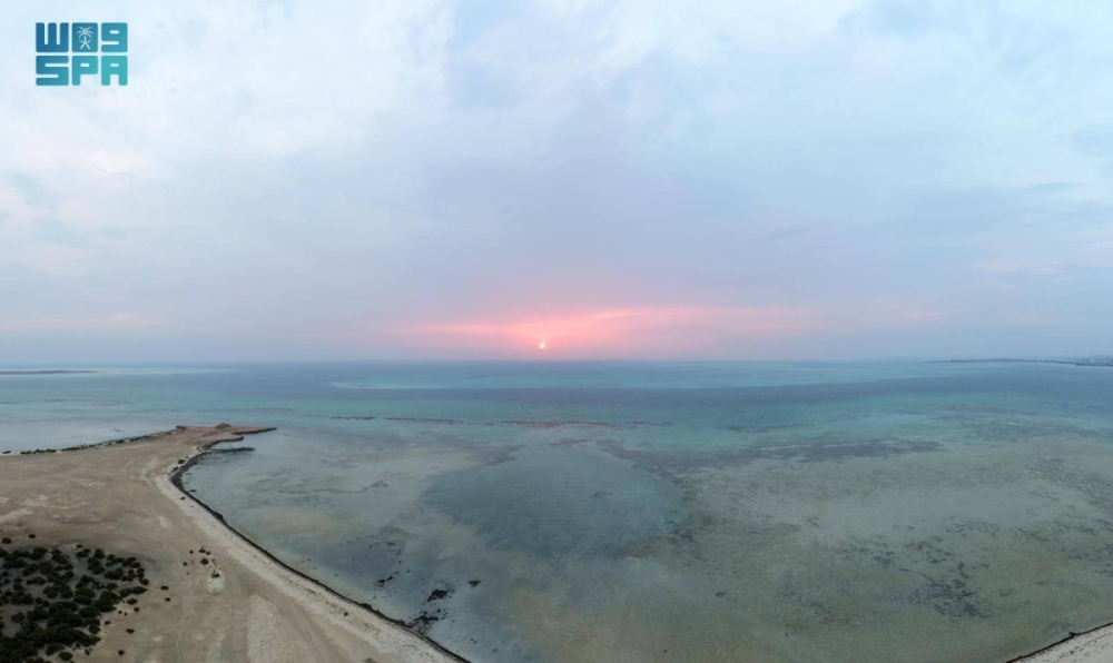 جزر البرك.. وجهة عسير البحرية تزهو بتنوعها الأحيائي وسحرها الطبيعي جزر البرك.. وجهة عسير البحرية تزهو بتنوعها الأحيائي وسحرها الطبيعي