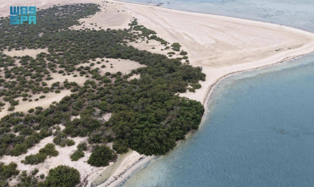 جزر البرك.. وجهة عسير البحرية تزهو بتنوعها الأحيائي وسحرها الطبيعي جزر البرك.. وجهة عسير البحرية تزهو بتنوعها الأحيائي وسحرها الطبيعي