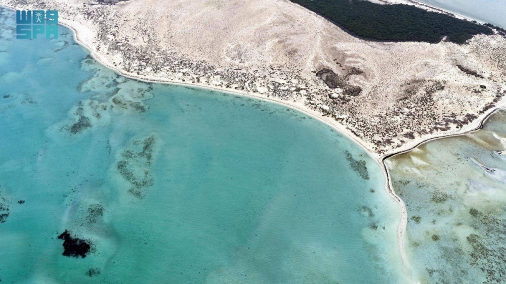 جزر البرك.. وجهة عسير البحرية تزهو بتنوعها الأحيائي وسحرها الطبيعي جزر البرك.. وجهة عسير البحرية تزهو بتنوعها الأحيائي وسحرها الطبيعي