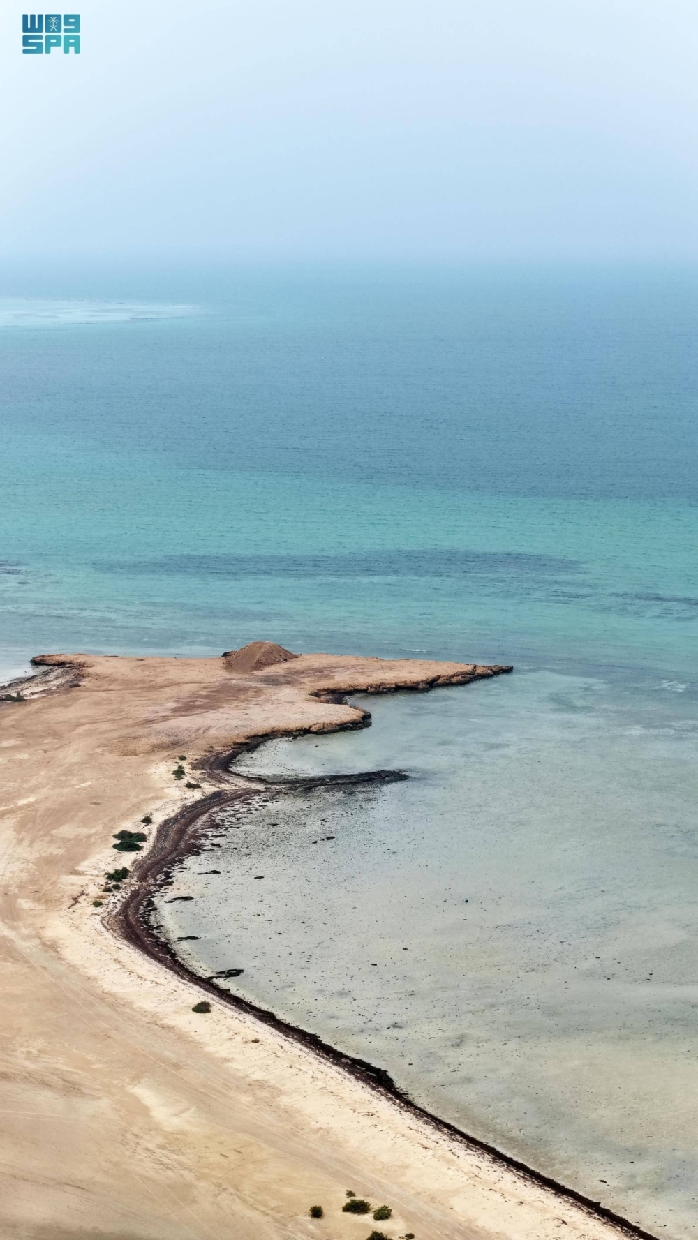جزر البرك.. وجهة عسير البحرية تزهو بتنوعها الأحيائي وسحرها الطبيعي جزر البرك.. وجهة عسير البحرية تزهو بتنوعها الأحيائي وسحرها الطبيعي