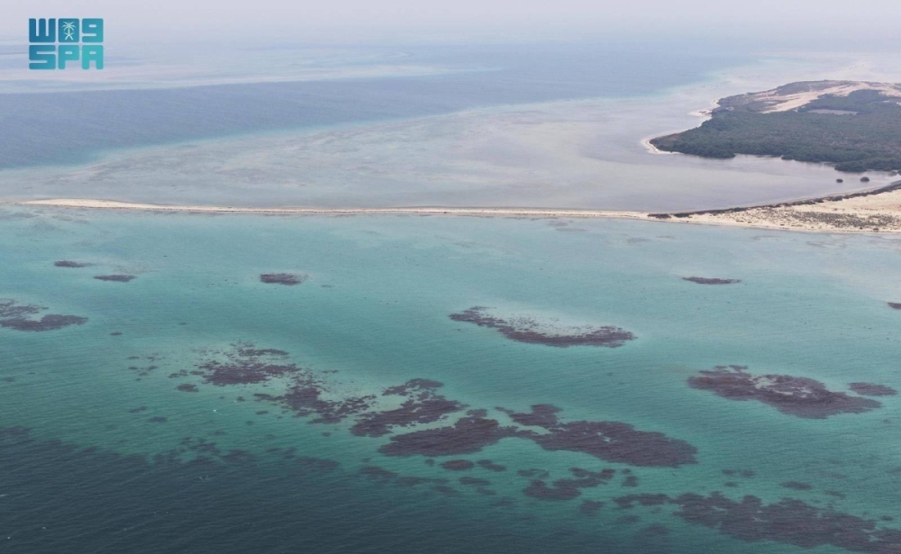 جزر البرك.. وجهة عسير البحرية تزهو بتنوعها الأحيائي وسحرها الطبيعي جزر البرك.. وجهة عسير البحرية تزهو بتنوعها الأحيائي وسحرها الطبيعي