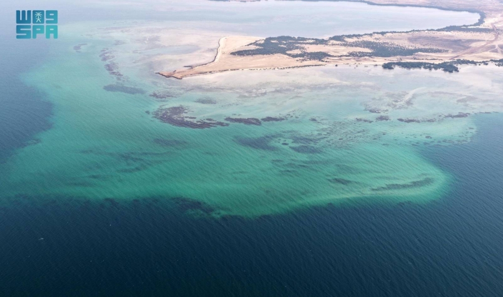 جزر البرك.. وجهة عسير البحرية تزهو بتنوعها الأحيائي وسحرها الطبيعي جزر البرك.. وجهة عسير البحرية تزهو بتنوعها الأحيائي وسحرها الطبيعي
