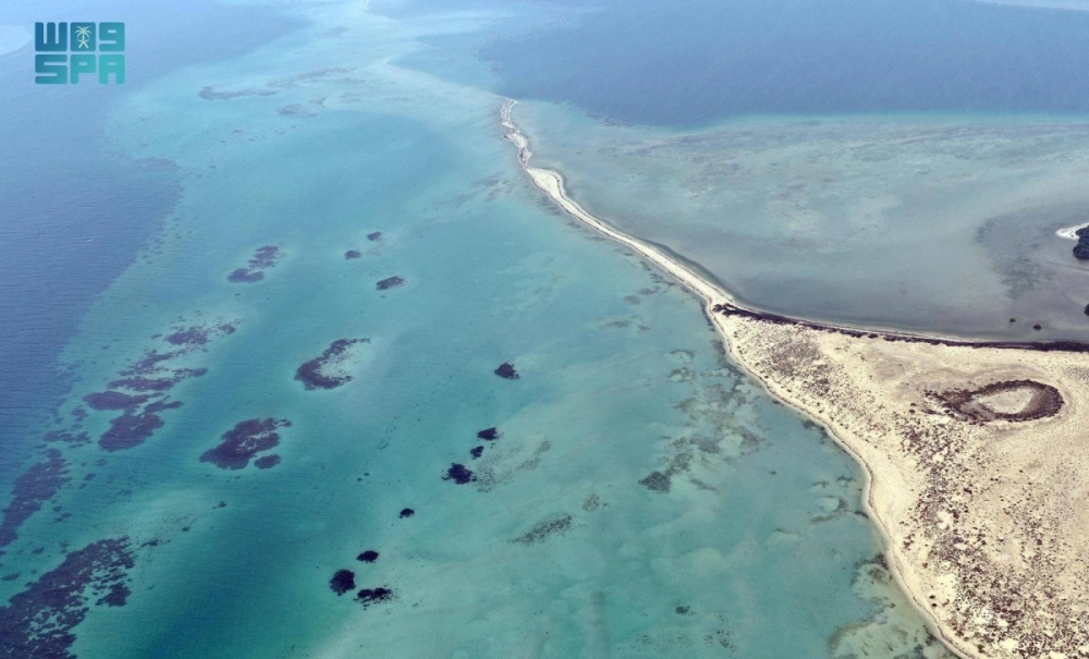 جزر البرك.. وجهة عسير البحرية تزهو بتنوعها الأحيائي وسحرها الطبيعي جزر البرك.. وجهة عسير البحرية تزهو بتنوعها الأحيائي وسحرها الطبيعي