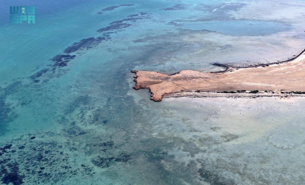 جزر البرك.. وجهة عسير البحرية تزهو بتنوعها الأحيائي وسحرها الطبيعي جزر البرك.. وجهة عسير البحرية تزهو بتنوعها الأحيائي وسحرها الطبيعي