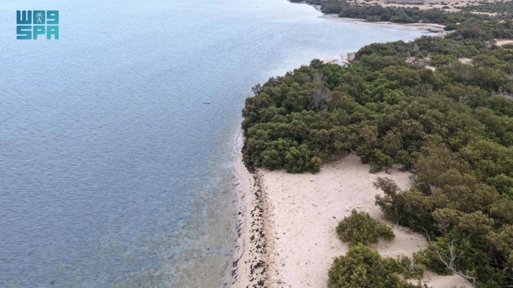 جزر البرك.. وجهة عسير البحرية تزهو بتنوعها الأحيائي وسحرها الطبيعي جزر البرك.. وجهة عسير البحرية تزهو بتنوعها الأحيائي وسحرها الطبيعي